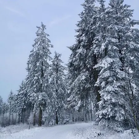 Top Ferienwohnung Am Diemelsee, Sauerland Naehe Willingen Winterberg Eksteriør billede