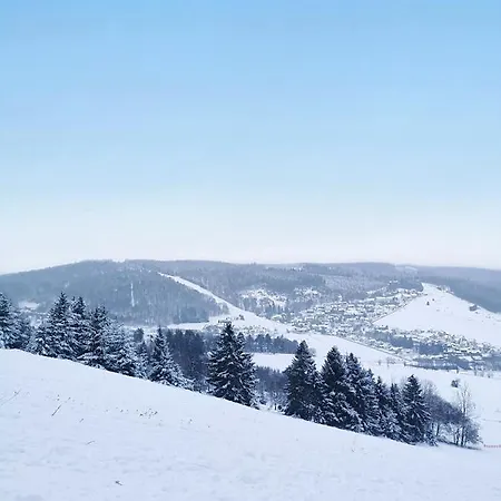 Top Ferienwohnung Am Diemelsee, Sauerland Naehe Willingen Winterberg Eksteriør billede