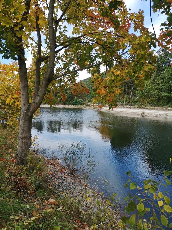 Am Diemelsee, Sauerland Naehe Willingen Winterberg Appartement