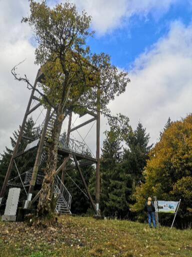 Appartement Am Diemelsee, Sauerland Naehe Willingen Winterberg Diemelsee