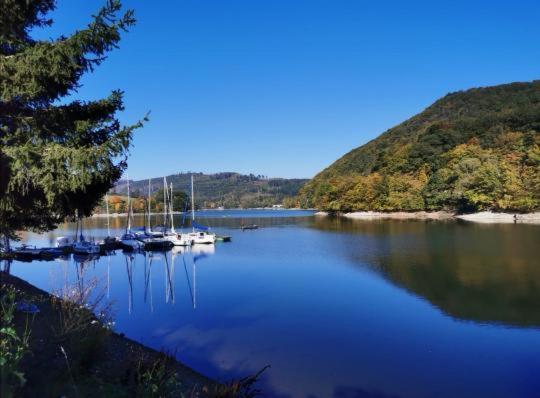 Appartement Am Diemelsee, Sauerland Naehe Willingen Winterberg Diemelsee