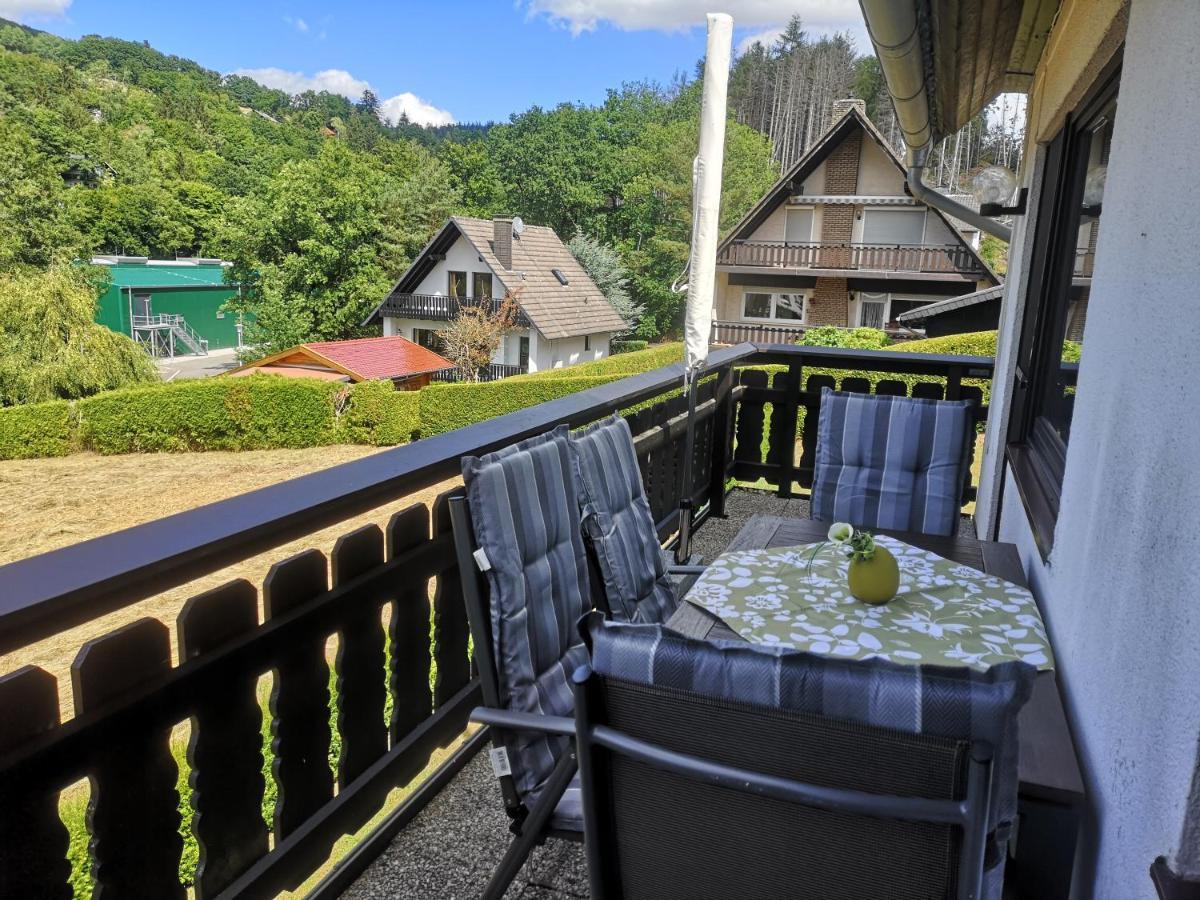 Appartement Am Diemelsee, Sauerland Naehe Willingen Winterberg