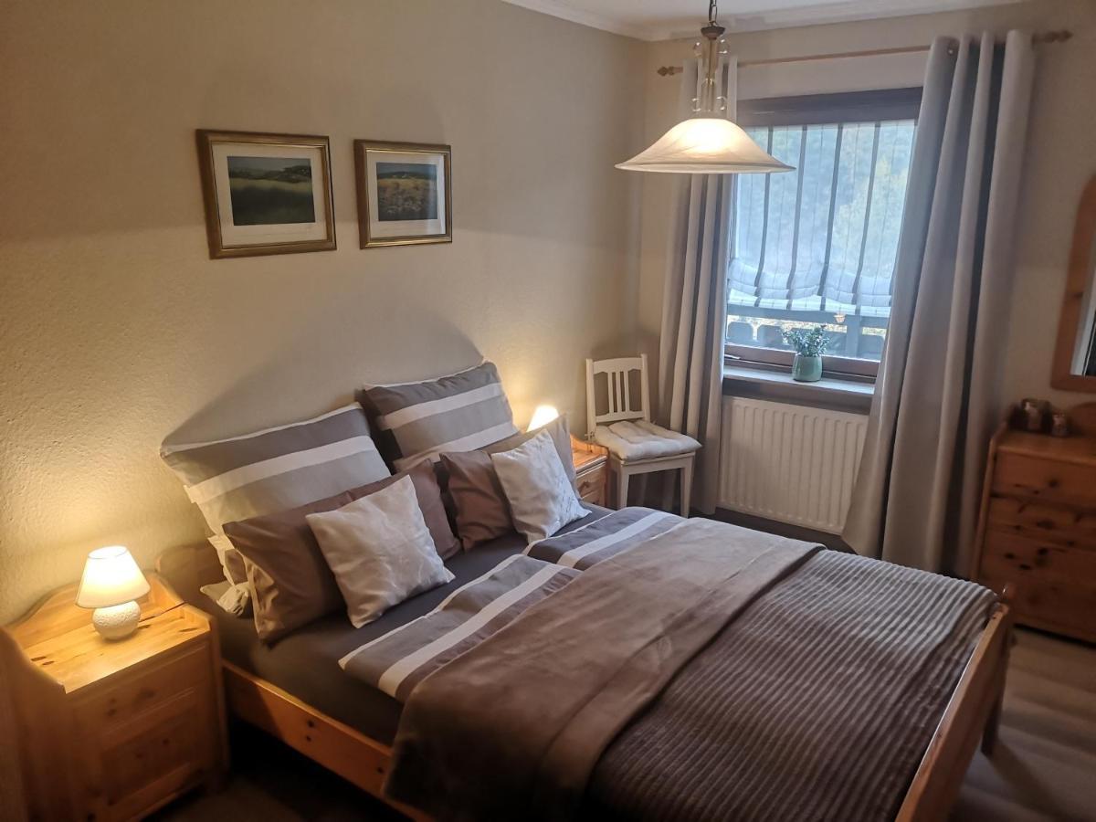 Am Diemelsee, Sauerland Naehe Willingen Winterberg Appartement Diemelsee